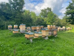 visite abeilles maraichères Crosne 91